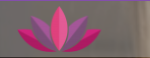 Transformacional